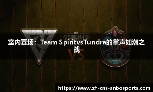 室内赛场:Team SpiritvsTundra的掌声如潮之战