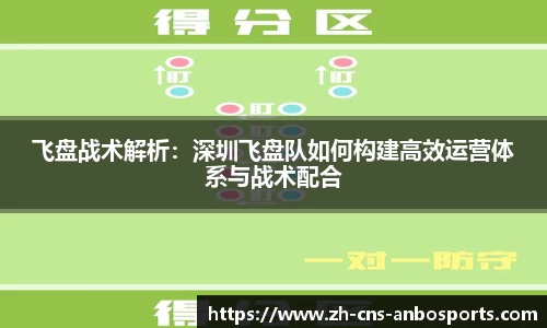飞盘战术解析:深圳飞盘队如何构建高效运营体系与战术配合